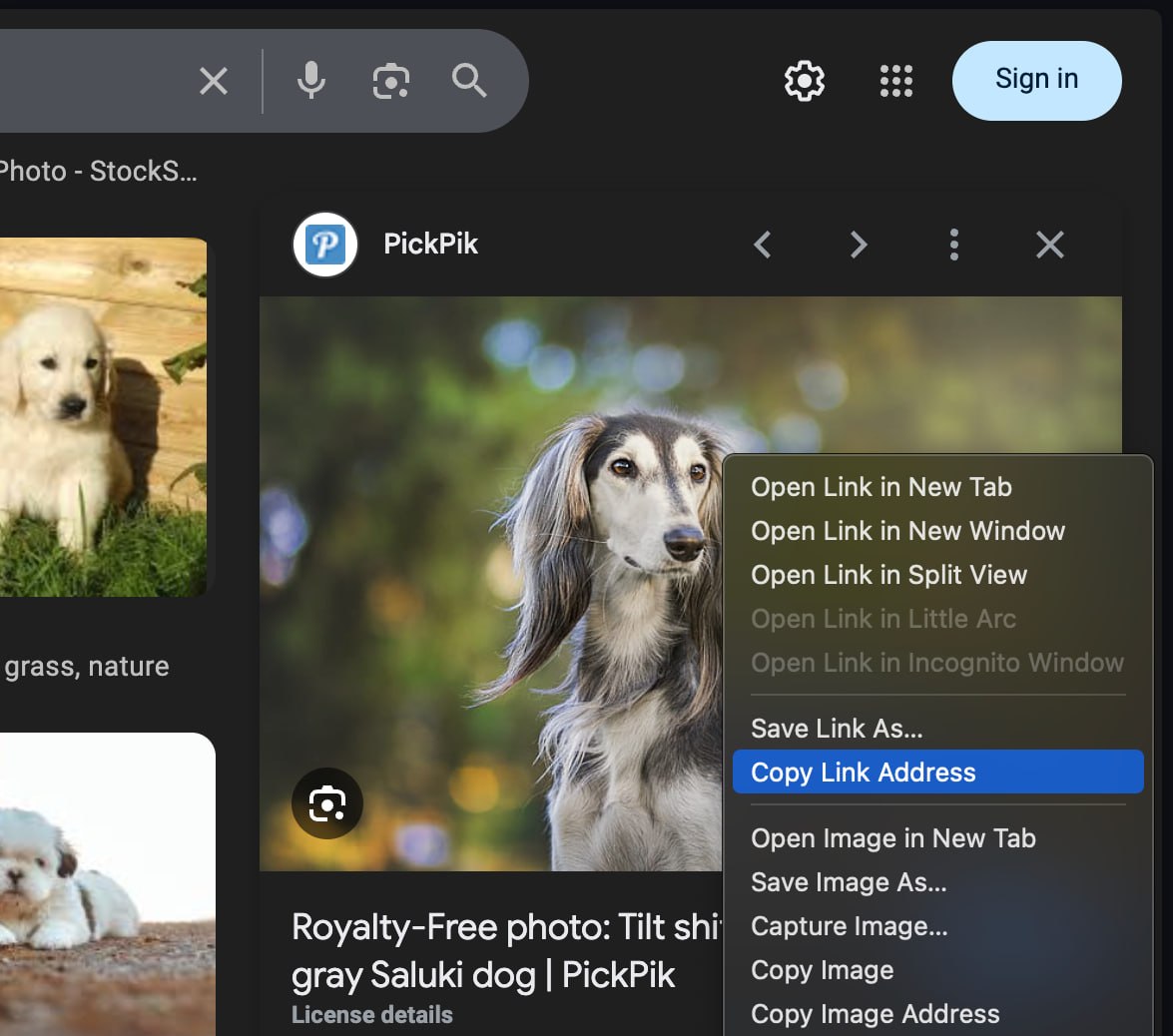 Right-click and copy link address